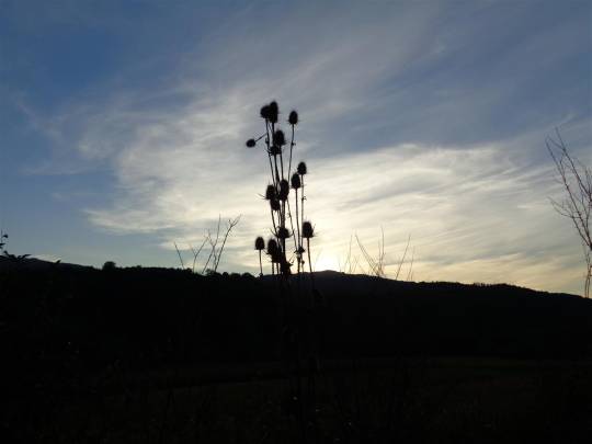 dsc00707_original